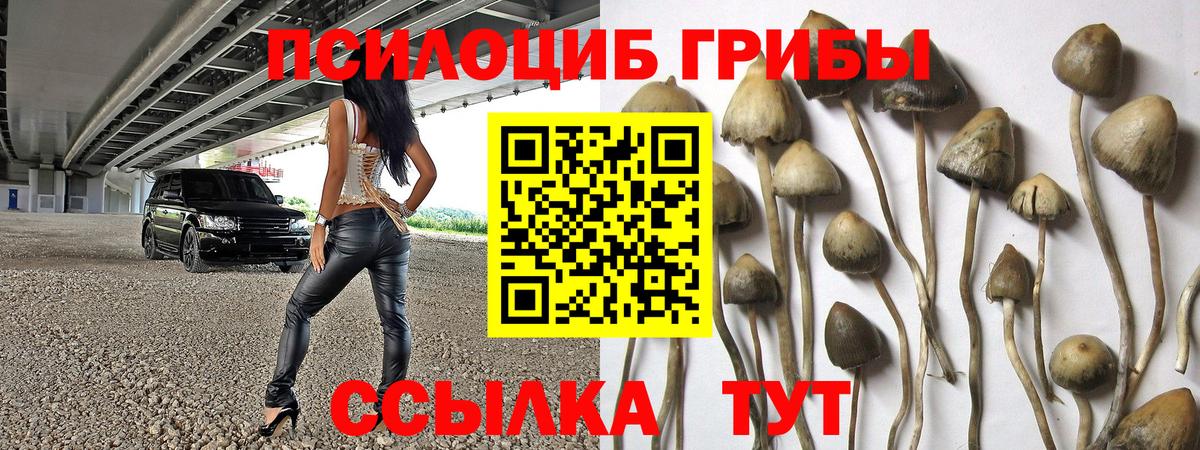 Галлюциногенные грибы Cubensis Нижний Новгород